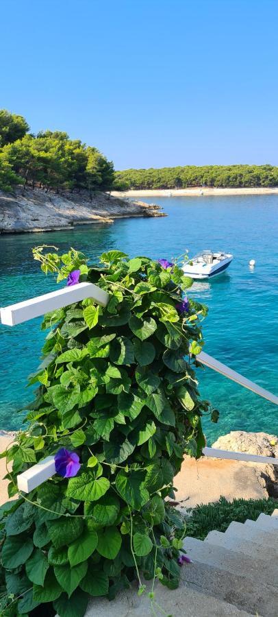 Maneni Rogoznica (Sibenik-Knin) Exterior foto